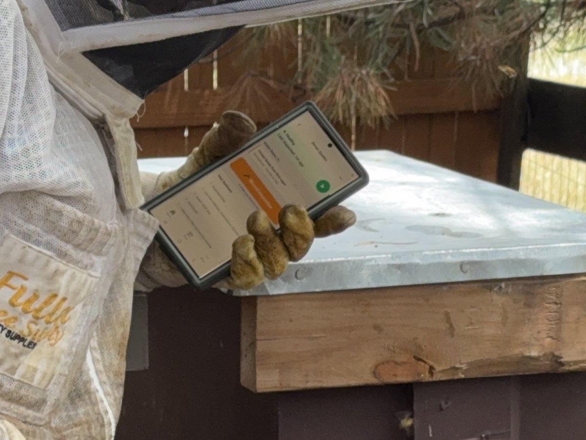 Beekeeper in a veil holding a phone in propolis-stained gloves over the lid of a closed hive, the WhisperBee app open on screen.